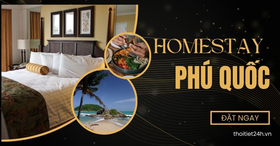 TOP homestay Phú Quốc view đẹp, giúp bạn “sống ảo” đến cháy máy